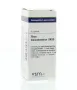 VSM Rhus toxicodendron LM30