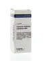 VSM Calcarea carbonica ostrearum LM1