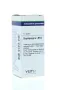 VSM Staphysagria LM12