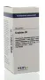 VSM Graphites D6