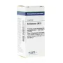 VSM Belladonna LM12