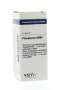 VSM Phosphorus 50MK