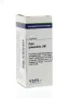 VSM Ruta graveolens LM1