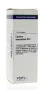 VSM Conium maculatum D12