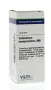 VSM Gelsemium sempervirens LM6