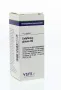 VSM Galphimia glauca D6