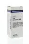 VSM Luffa operculata LM30