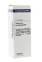 VSM Hypericum perforatum D12