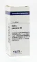 VSM Bellis perennis D6