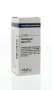 VSM Chelidonium majus D12