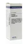 VSM Solidago virgaurea D4