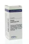 VSM Ferrum metallicum D12