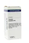 VSM Plumbum metallicum D6