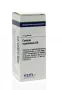 VSM Conium maculatum D6