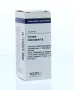 VSM Conium maculatum C6