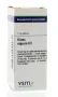 VSM Ribes nigrum D3