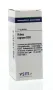 VSM Ribes nigrum D30