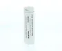 Homeoden Heel Ginkgo biloba LM30