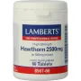 Lamberts Crataegus 2500mg (hawthorn)