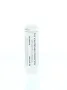 Homeoden Heel Solidago virgaurea D12