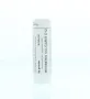 Homeoden Heel Berberis vulgaris D12