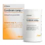 Heel Cerebrum compositum H