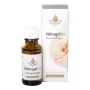 Van der Pluym Kalknagelolie