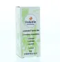 Volatile Lavendel bio