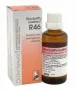 Reckeweg Rhodolith gastreu R46