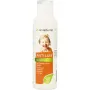 Anti Luis Shampoo