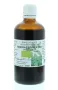 Cruydhof Spiraea ulmaria herb / moerasspirea tinctuur bio