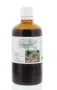 Cruydhof Arctostaphylus uva ursi/berendruif tinctuur