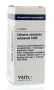 VSM Calcarea carbonica ostrearum C200