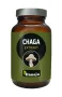 Hanoju Chaga paddenstoelen extract