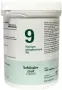 Pfluger Natrium phosphoricum 9 D6 Schussler