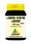 SNP L-Carnitine pu erh grapefruit