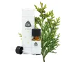 CHI Thuja wild
