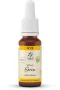 Lemonpharma Bach Gorse bio