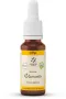 Lemonpharma Bach Clematis bio