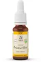 Lemonpharma Bach Bach bloesemremedies chestnut bud bio