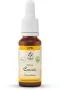 Lemonpharma Bach Cerato bio