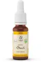 Lemonpharma Bach Beech bio