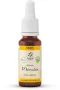 Lemonpharma Bach Mimulus bio