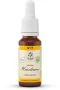 Lemonpharma Bach Hornbeam bio