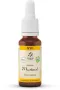 Lemonpharma Bach Mustard bio