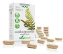 Soria Natural 8-S Calaguala XXI