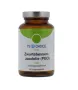 TS Choice Zwartebessenzaadolie
