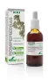Soria Natural Lepidium latifolium XXI extract