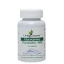 Livinggreens Glucosamine chondroitine MSM