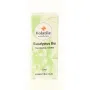 Volatile Eucalyptus smithii bio